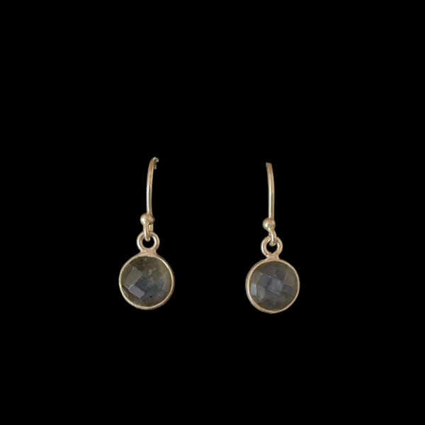 Oorbellen met haakje