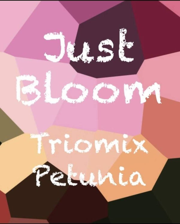 JUST BLOOM - TRIOMIX MINI-PETUNIA