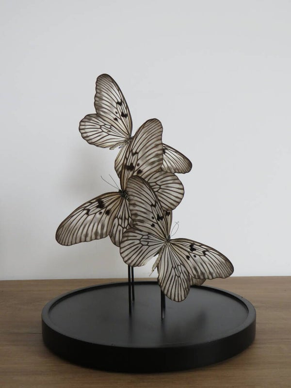 3 Idea idea in glazen stolp