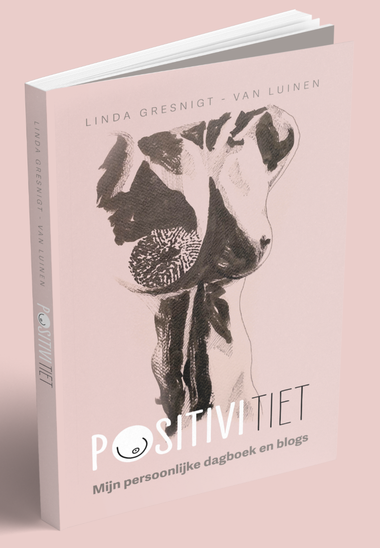 Positivitiet - Linda Gresnigt - van Luinen