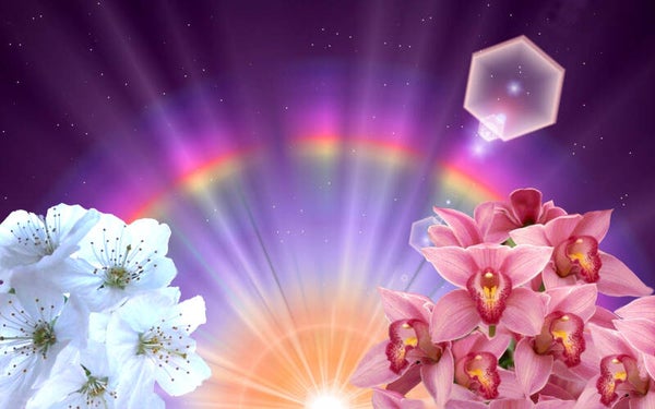 1 Karma Reinigungs Heilsitzung *Imara Reiki + Einweihung