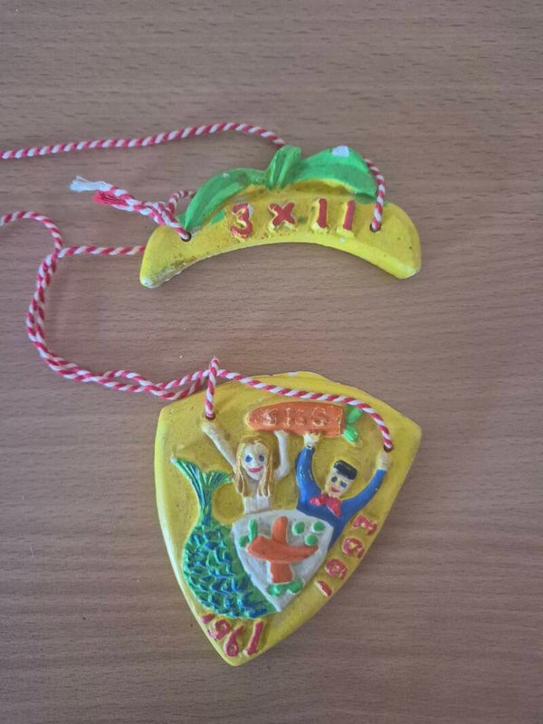 1993 Insigne Strienestad