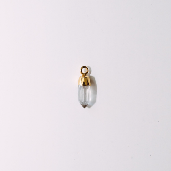 PINCHE charm