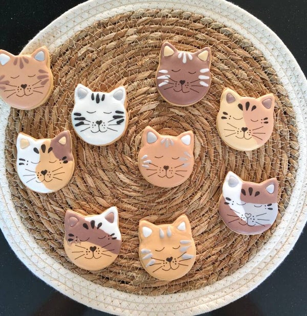 Kattenkoekjes
