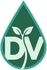 DWRAFT VENTURES