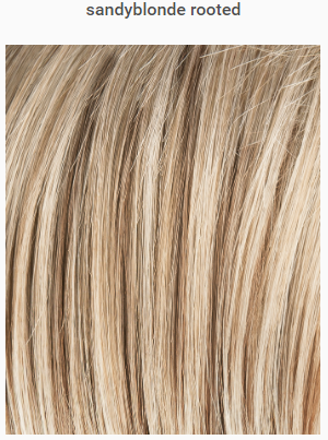 Ellen Wille Gala Hair Society