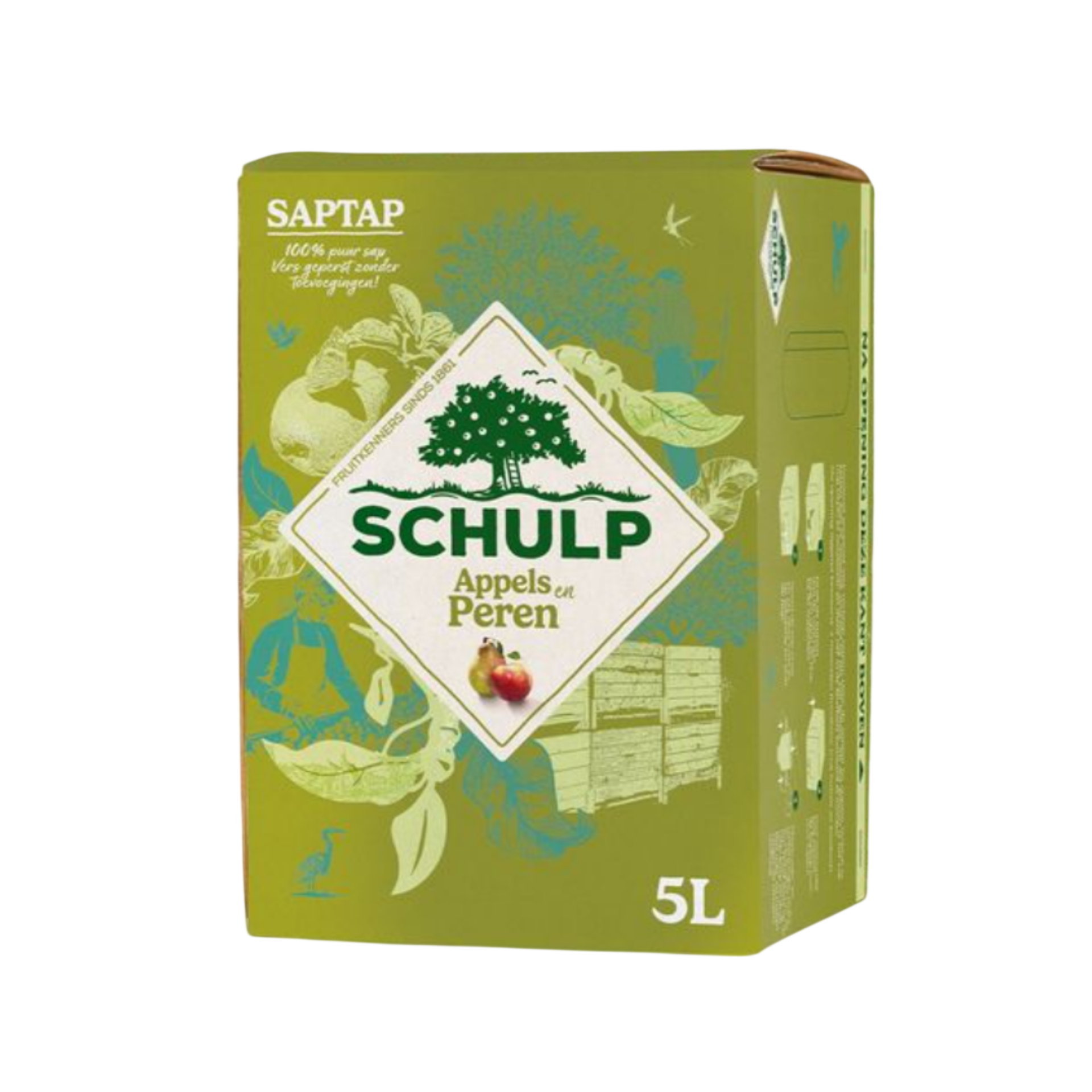 Schulp appel-peer SapTap