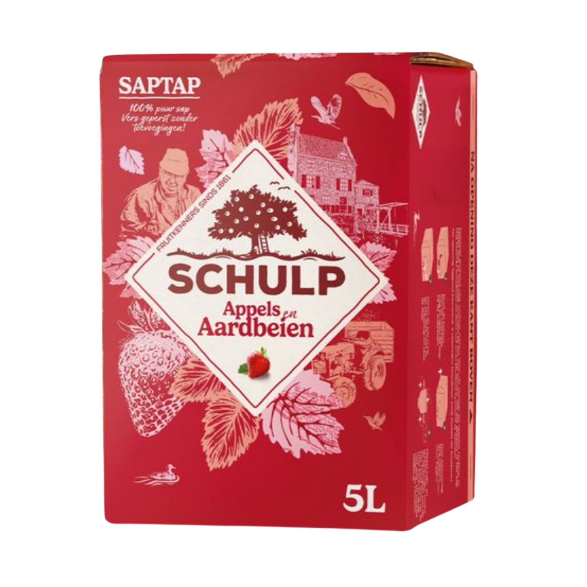 Schulp appel-aardbei SapTap