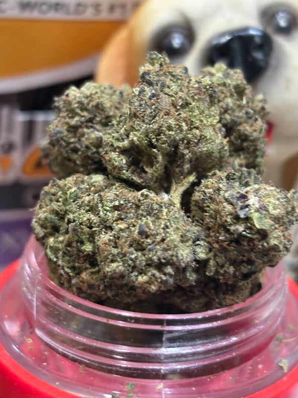 Purple Paint