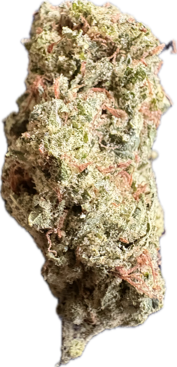 Lilac Diesel
