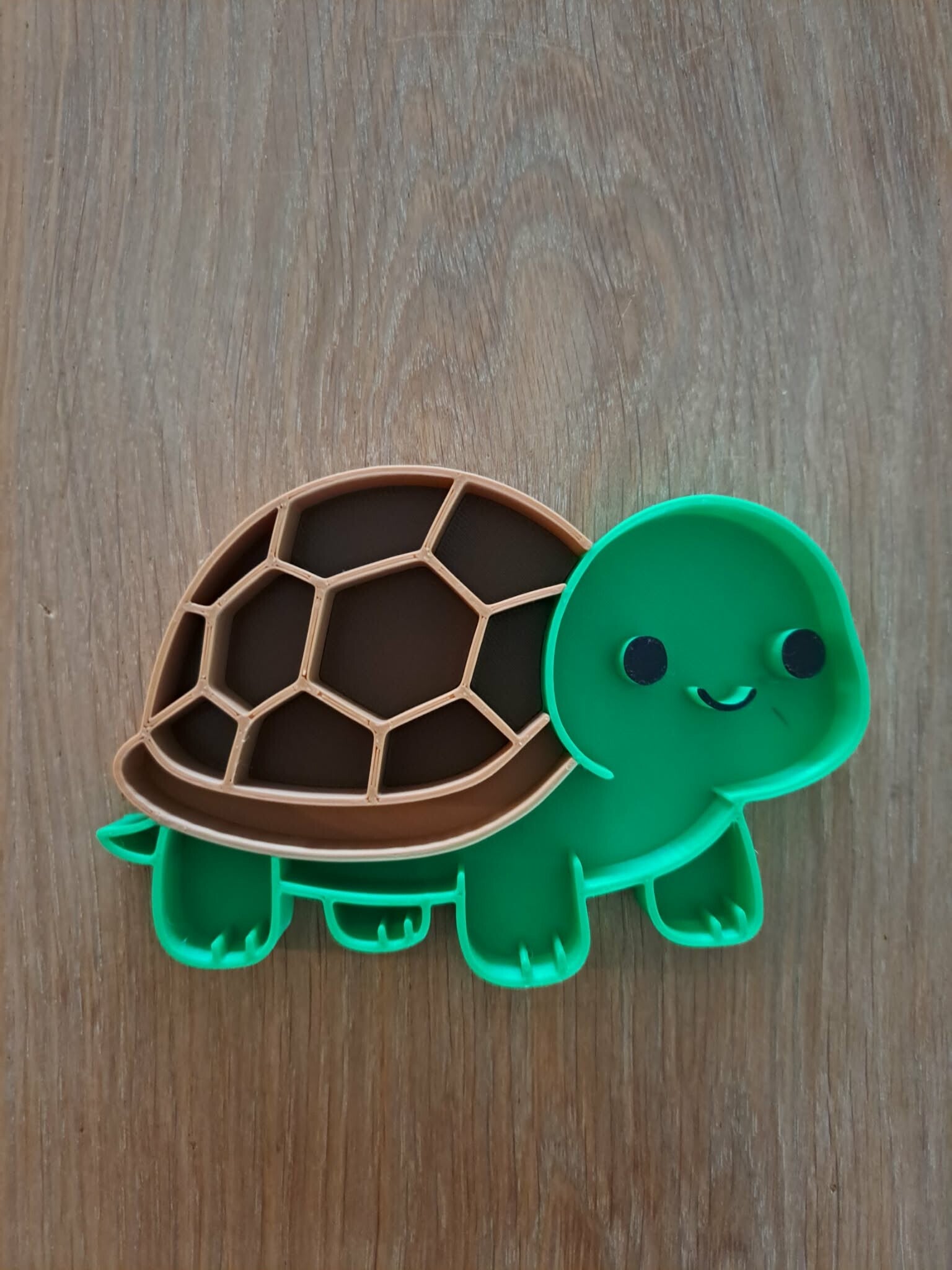 vulvorm schildpad