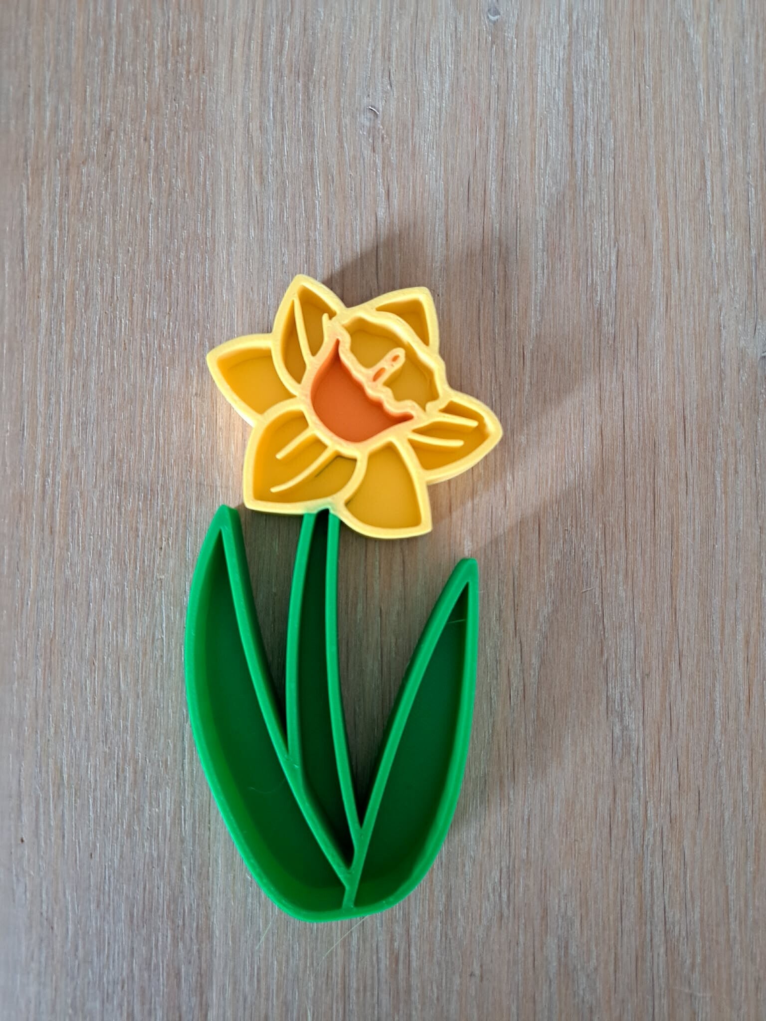 vulvorm narcis
