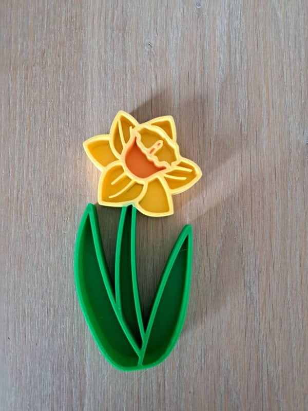 vulvorm narcis