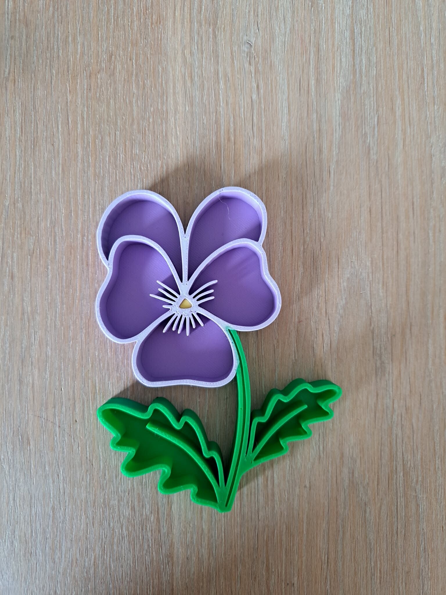 vulvorm viooltje