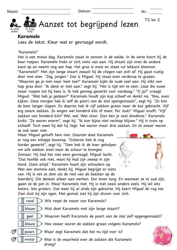 Aanzet tot begrijpend lezen - thema 2