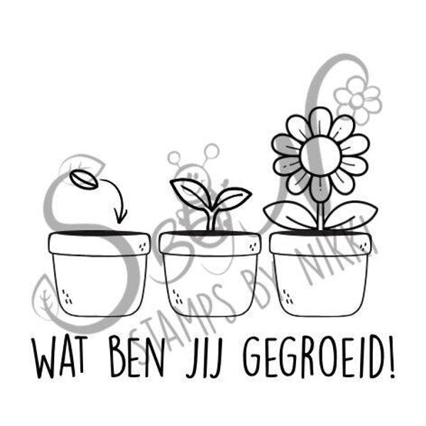 Stempel Plantjes - Wat ben jij gegroeid!