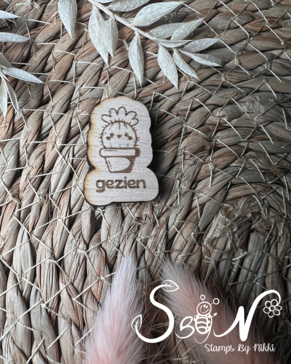 Cactus met bloem - gezien