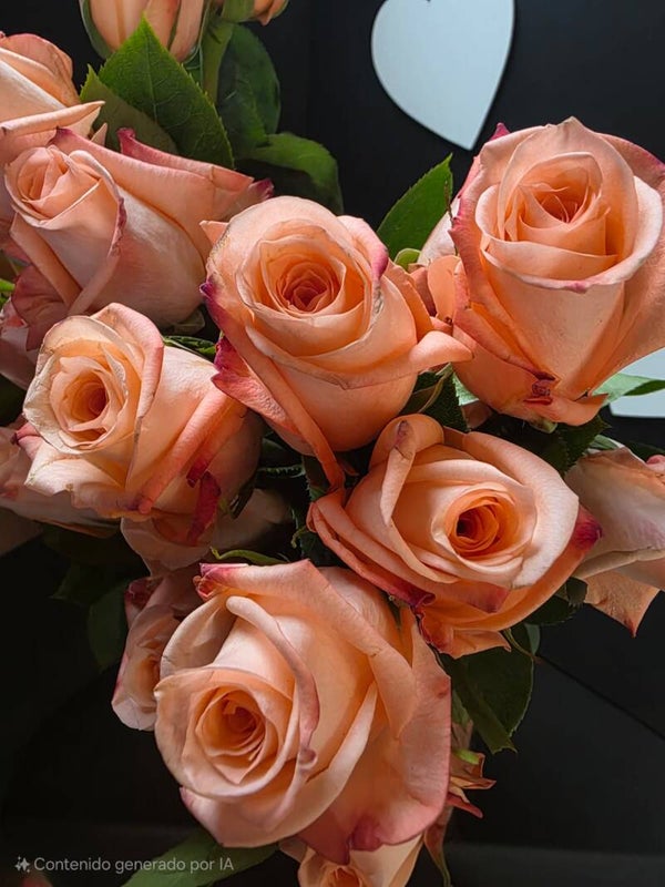 Engagement “Each bunch has 25 roses.” Length 55cm