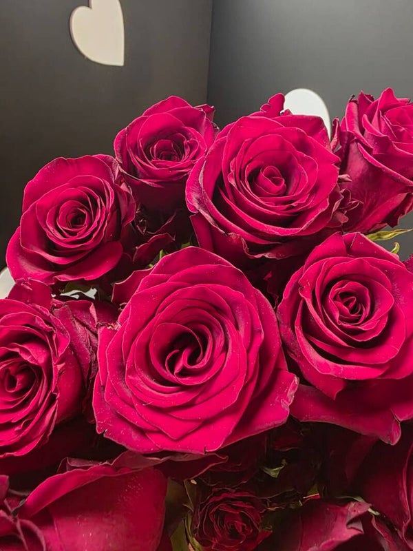 Explorer Rose “Each bunch has 25 roses.” Length 55cm