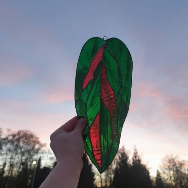 Calathea blad - Cranberry pink