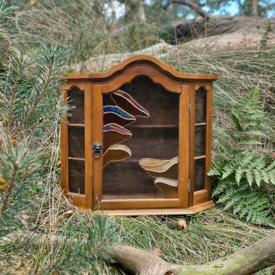 Cabinet - Zwammen