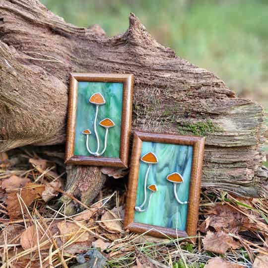 Milk caps - mushroom frames