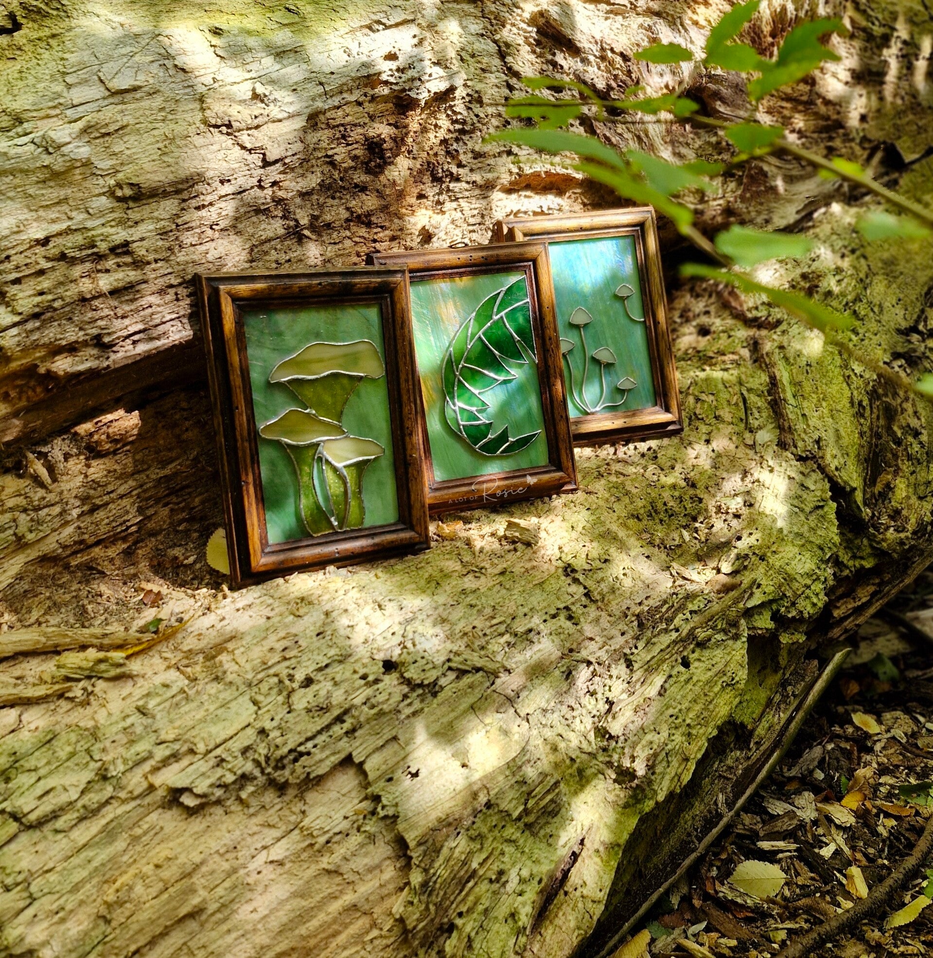 Late zomer set - mushroom frames