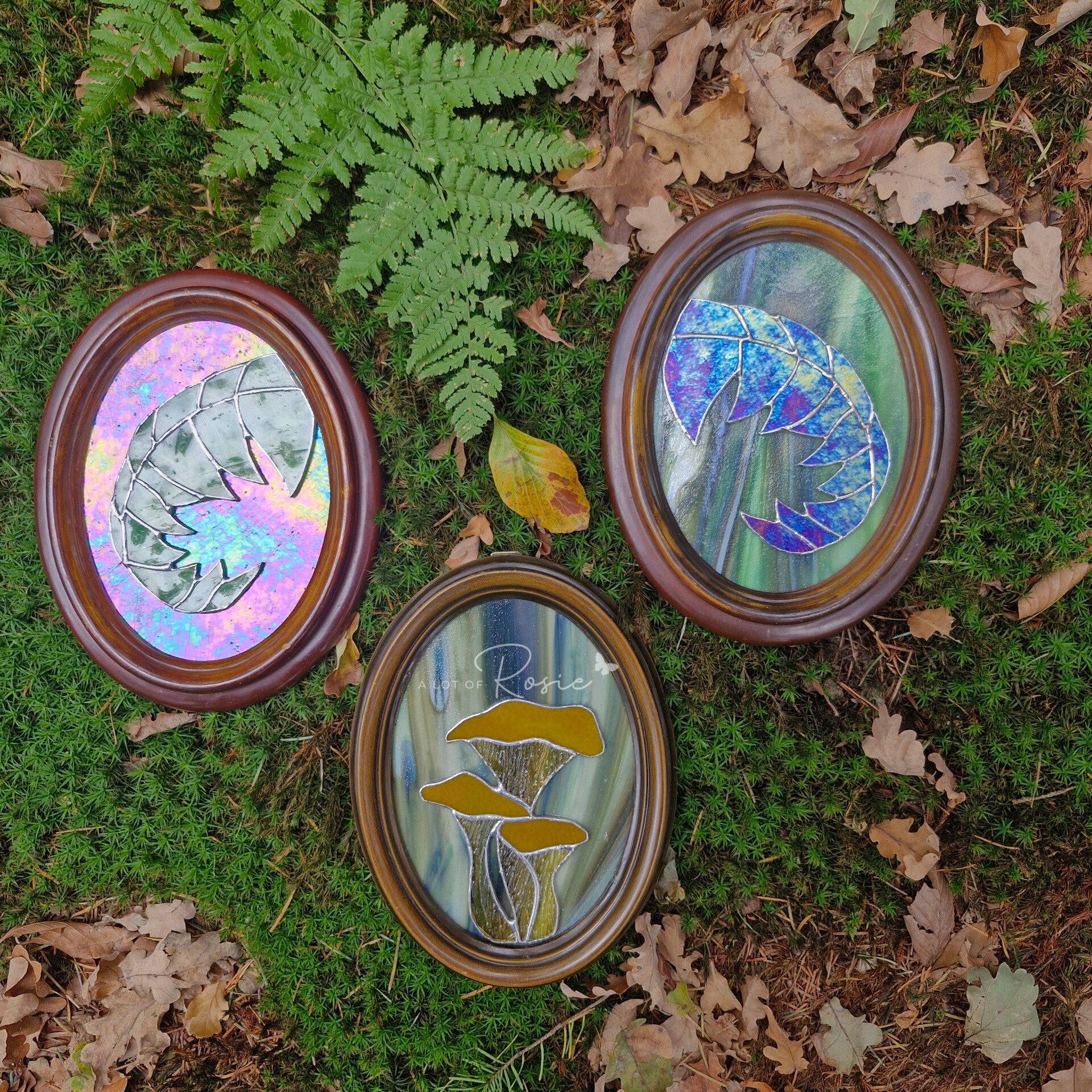 Cantharellen en varens - frames