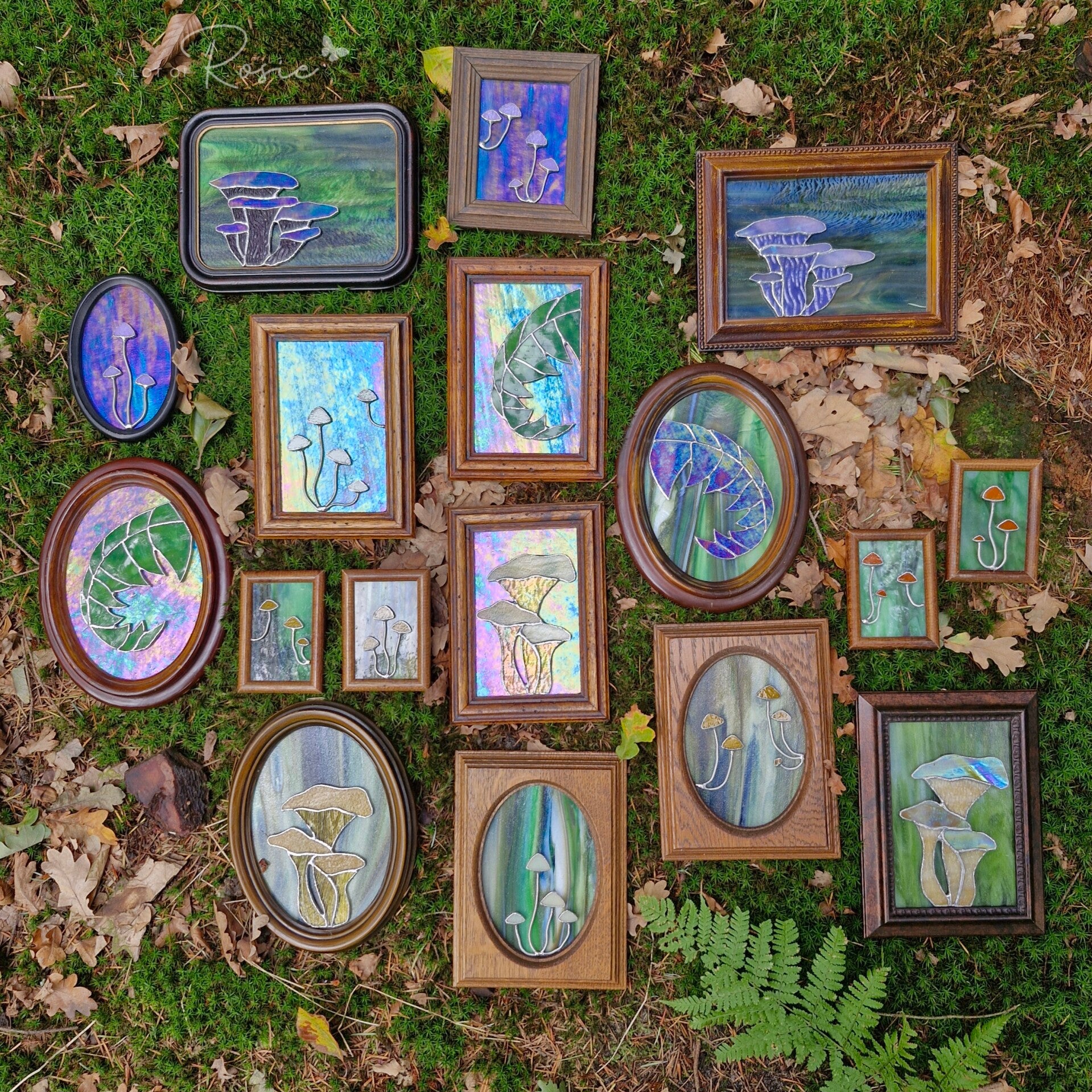 Tik om de nieuwe serie ringen te bekijken