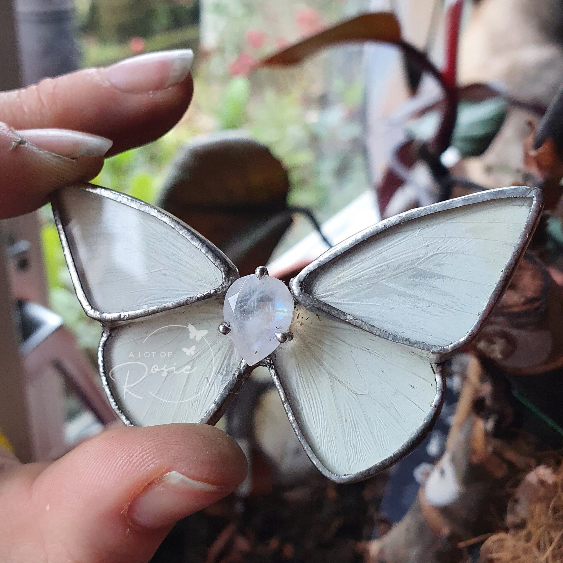 Apias albina - maansteen