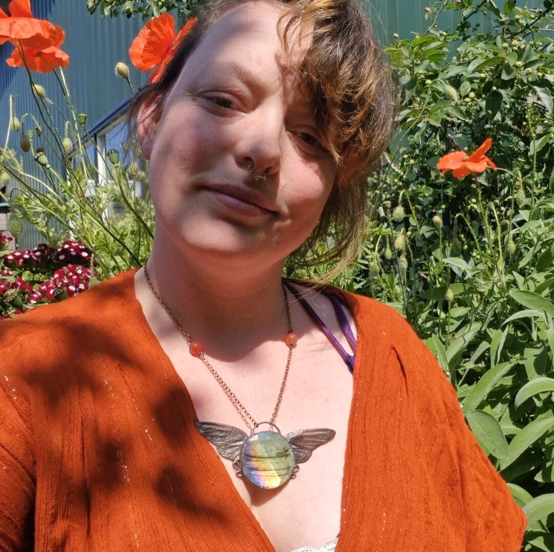 Sunset collection - cicade wings