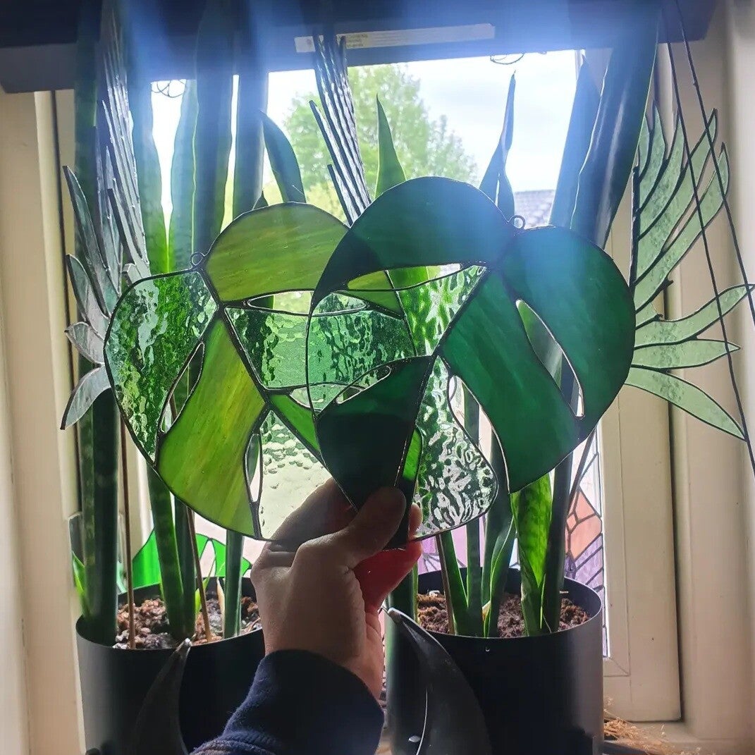 Workshop Monstera blad