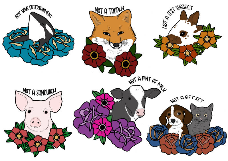 flash-sheet-veganism-standard-o34gxg.jpg