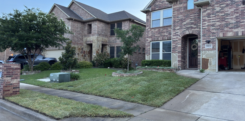Fresh sod lawn after installation in Fort Worth Texas showing clean green grass that needs proper watering protection and aftercare guidance from TrueLight Property Services