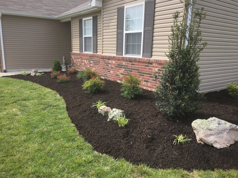 Landscape plant installation and bed refresh for a cleaner Fort Worth exterior