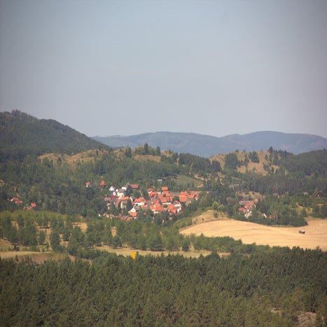 IMG_7128.jpg