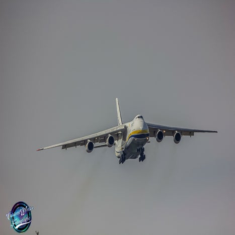 IMG_5365.jpg