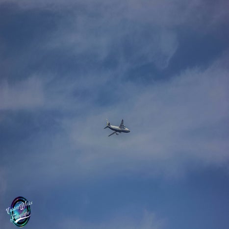 IMG_5339.jpg