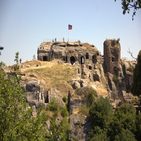 IMG_7225.jpg