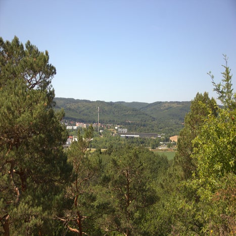 IMG_7223.jpg