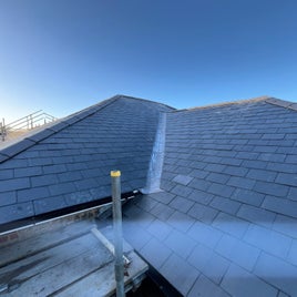 img_8294-standard.jpg