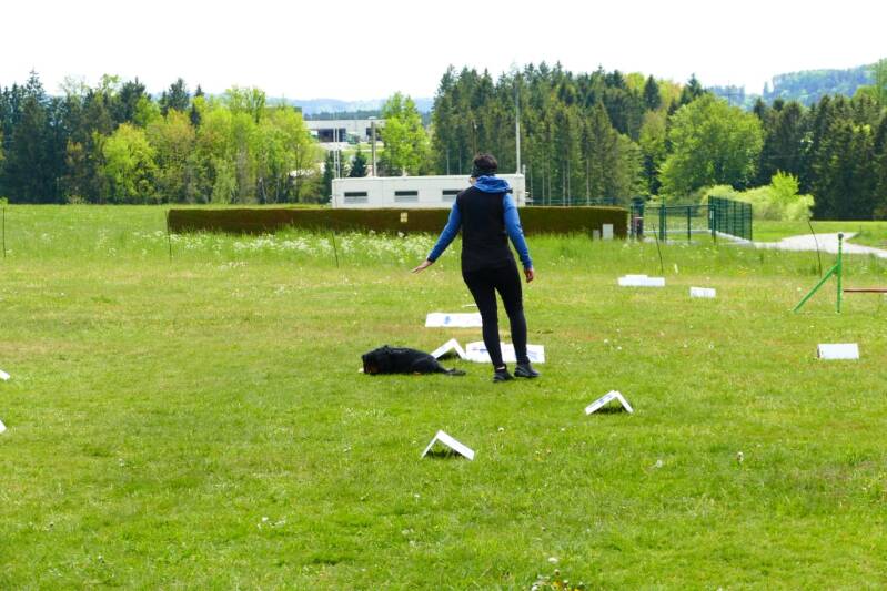 whatsapp-image-2026-05-17-at-20-23-07-2-standard.jpg