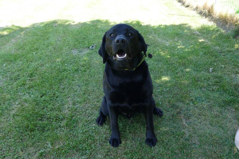 whatsapp-image-2026-06-28-at-10-55-09-standard.jpg