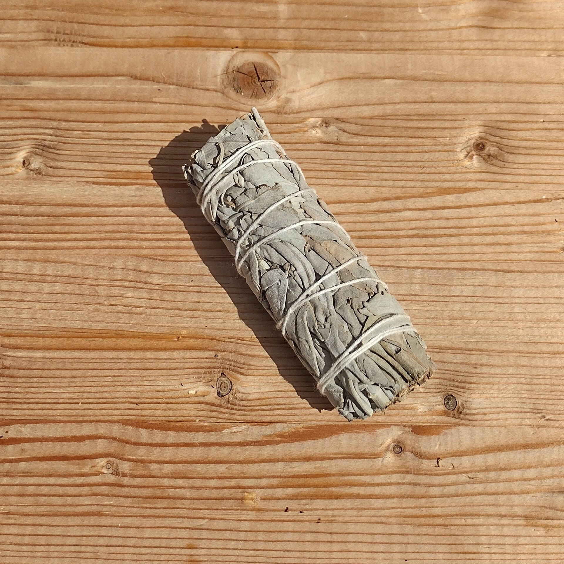 Encens naturel – Sauge blanche (Salvia apiana)