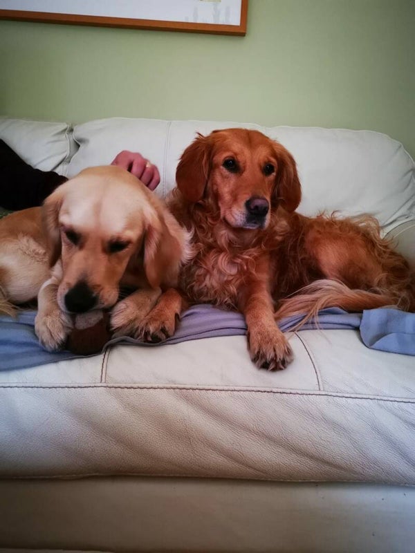 1/2 day board am/pm up to 4 hours 