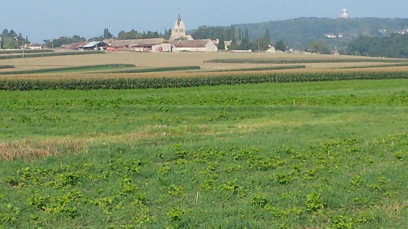 20130924_101554.jpg