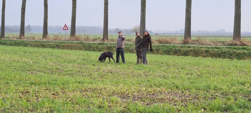 20211209duivekeetseweg2.jpg