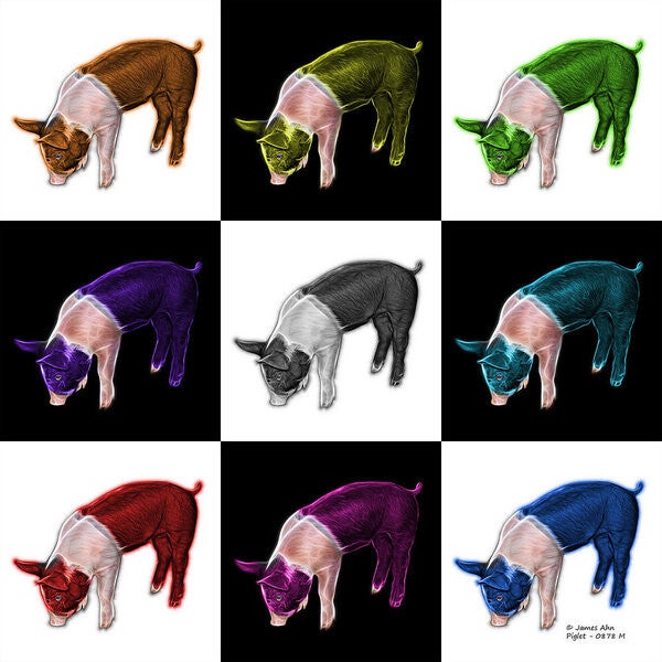 Kunst A/B = 1 | Varkens Kunst