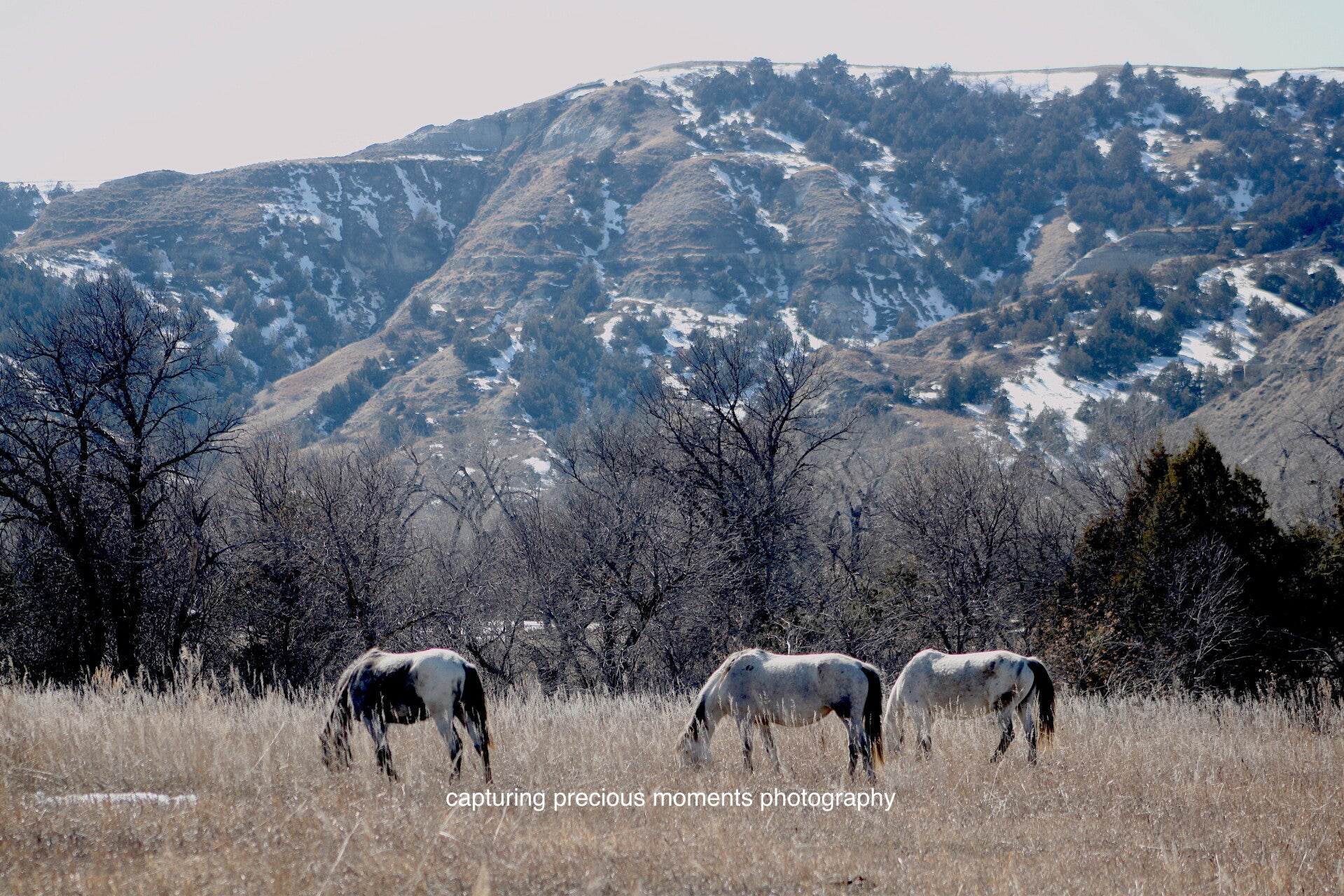 medora mountains