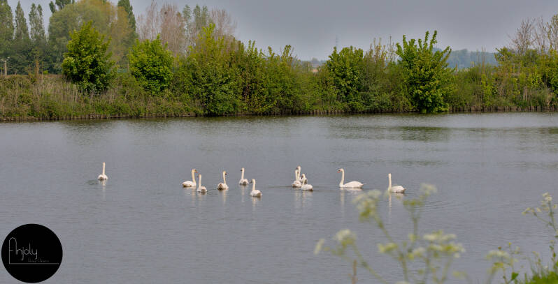 20220501-ijzer1.jpg